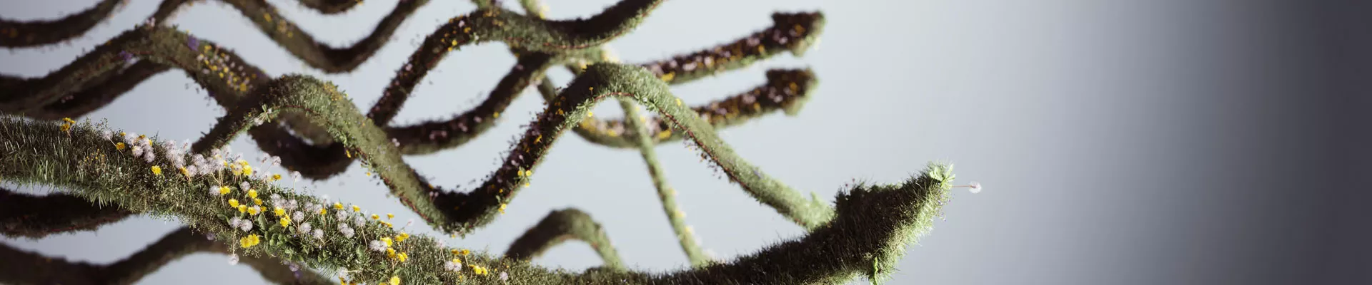 ツールを使いこなして、植物を望む方向へみちびく「生育制御」