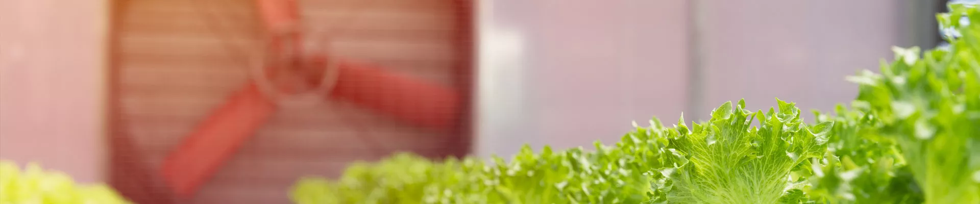 換気の基本原理