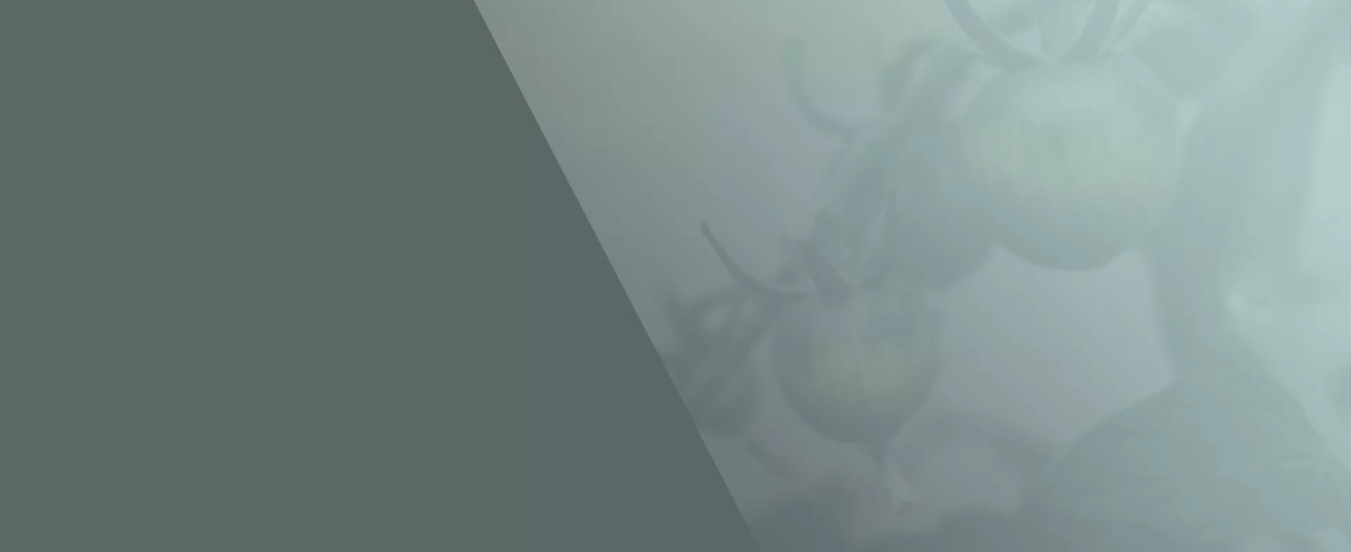 CANNA PK 13/14 | CANNA Japan