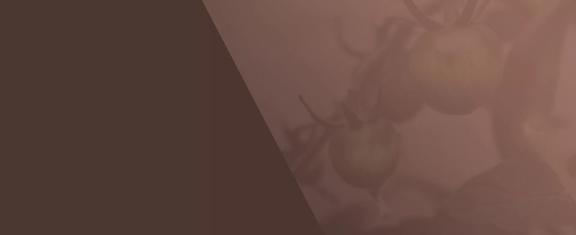 cocoページ Amazon.co.jp: coco-R R.Cocco リチャードココ ベース弦 RC4F N