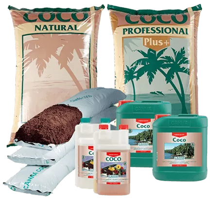 CANNA COCO
