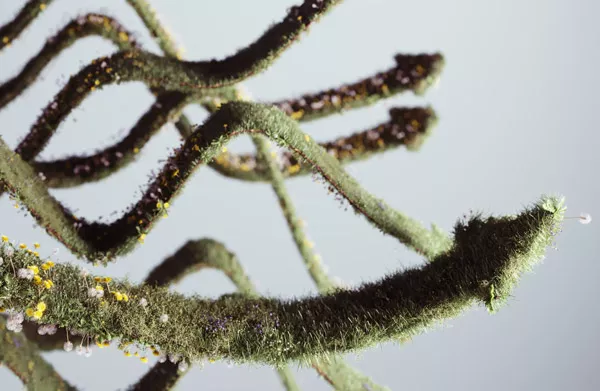 ツールを使いこなして、植物を望む方向へみちびく「生育制御」
