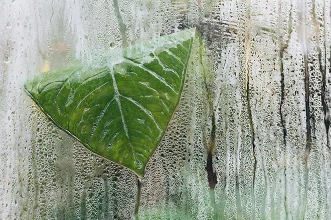 高収穫を実現する栽培環境