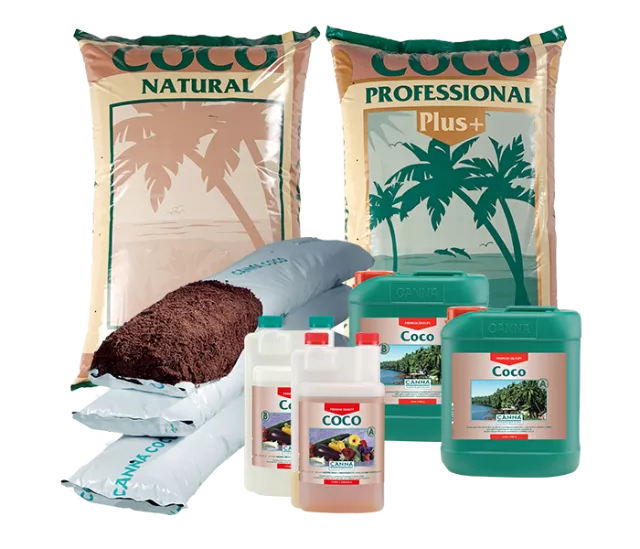 CANNA COCO