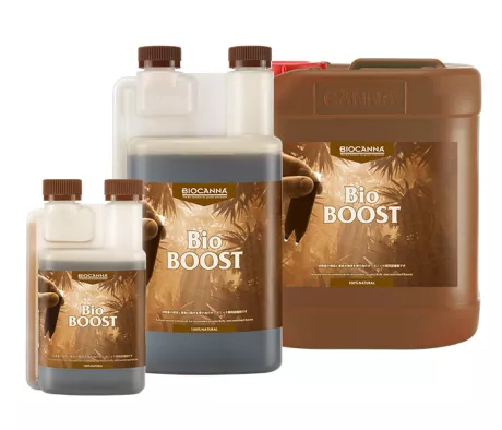 BioBOOST