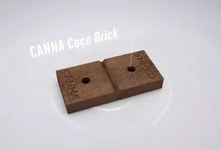 CANNA COCO | CANNA Japan