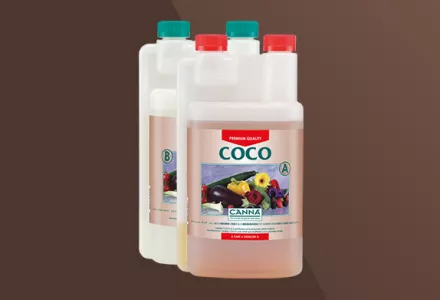 CANNA Coco A & B