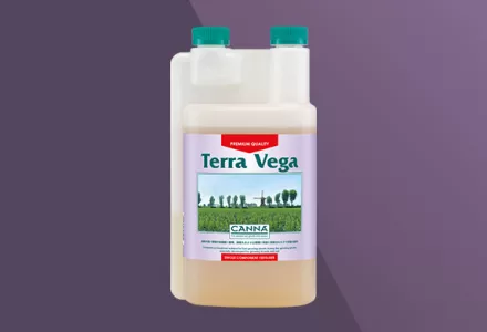 CANNA Terra Vega