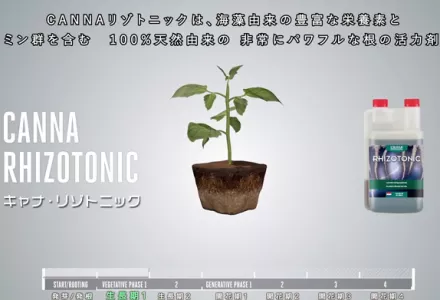 CANNA RHIZOTONIC リゾトニック 1リットル 水耕栽培 土耕栽培 Amazon.com : Canna Rhizotonic 1L : Patio, Lawn & Garden