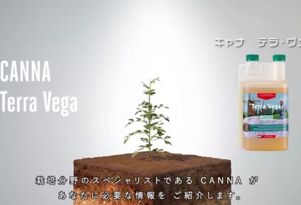 CANNA Terra Vega