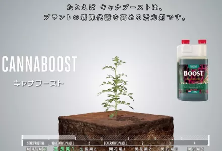 CANNA PK 13/14 | CANNA Japan