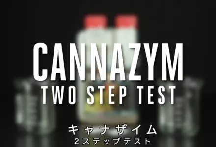 CANNAZYM 〜キャナザイムの2ステップテストで古い根を分解する効果を見る