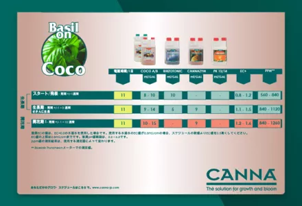 Basil on CANNA COCO Grow Schedule