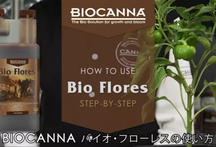 How to use BIOCANNA Bio Flores