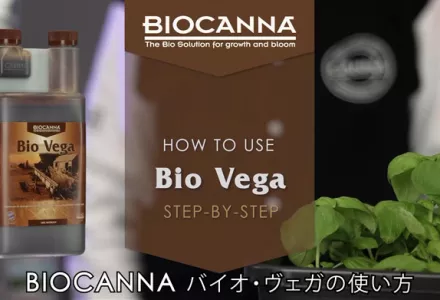 How to use BIOCANNA Bio Vega