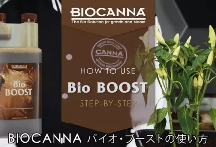 How to use BIOCANNA BioBOOST