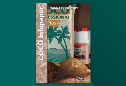 CANNA COCO Infopaper