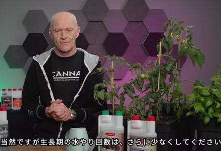 CANNA Cocoブリック | CANNA Japan