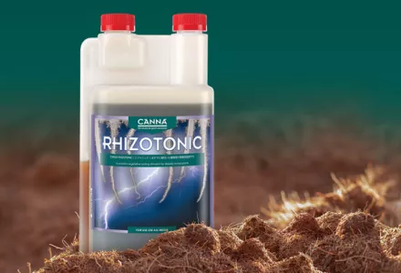 CANNA RHIZOTONIC 〜リゾトニック〜 | CANNA Japan