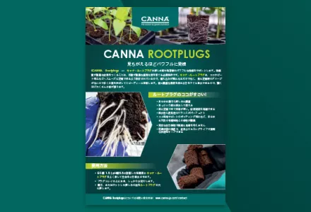 canna出品 ダウンロード | CANNA Japan