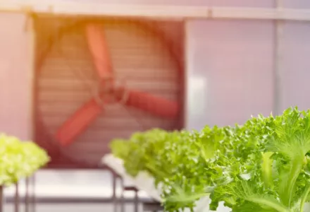 換気の基本原理